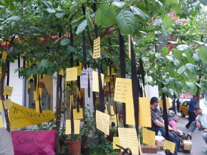 Istanbul 2014 046