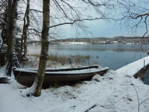 Loka-marraskuu 2014 019