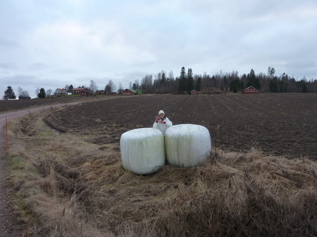 syksy 2015 141