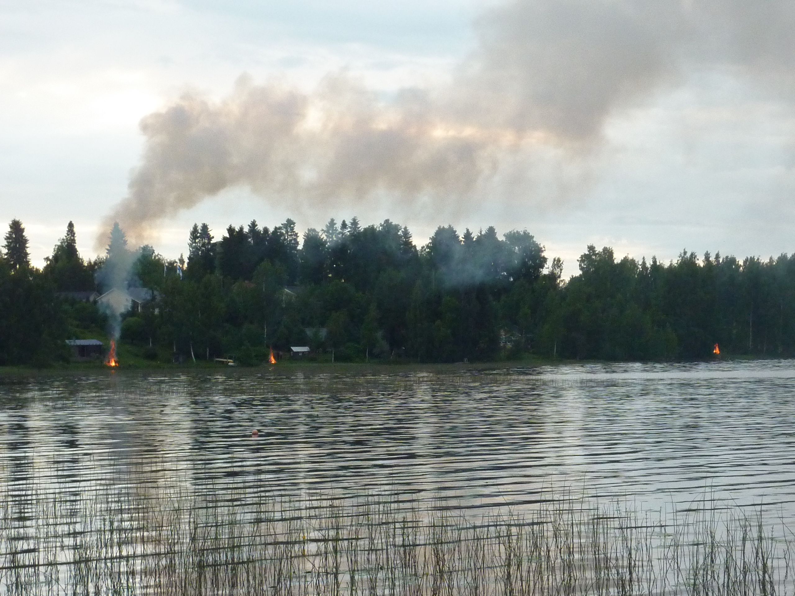 Alkukesä 2011 019